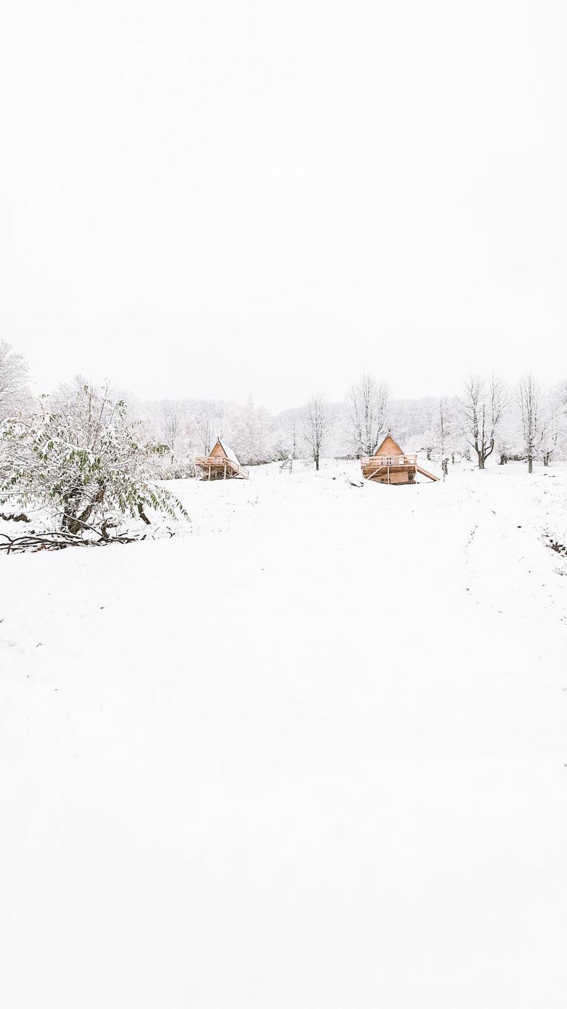 La Cabana, Корбень Номер фото